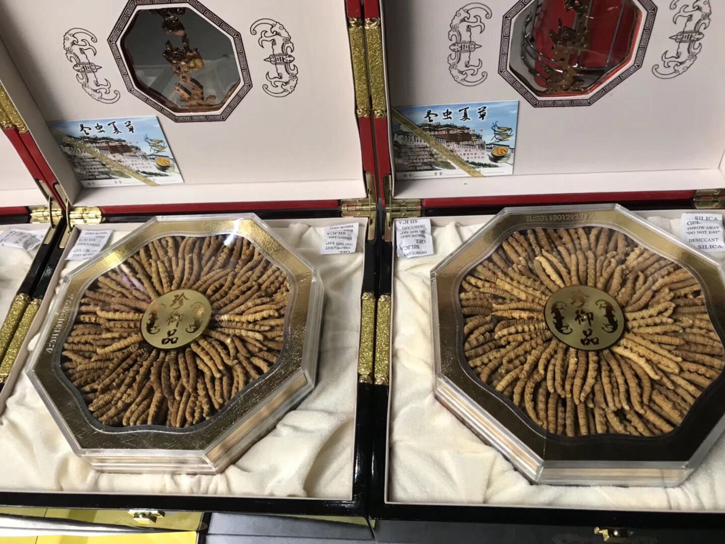 我国昆虫类有110余种，都有哪些昆虫属于冬虫夏草